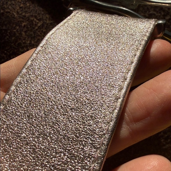 Suzi Roher Canadian Shimmering Silver heavy metal Belt main image 5